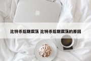 比特币后期震荡 比特币后期震荡的原因