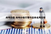 肉鸡价格 肉鸡价格行情今日肉毛鸡价格