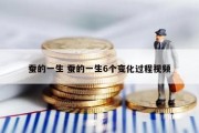 蚕的一生 蚕的一生6个变化过程视频