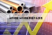 wifi功能 wifi功能费是什么意思