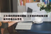 三支香的燃烧情况图解 三支香的燃烧情况图解天地香什么意思
