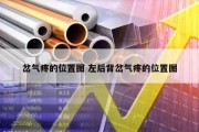 岔气疼的位置图 左后背岔气疼的位置图