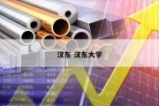 汉东 汉东大学
