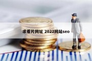 求看片网址 2022网站seo