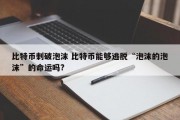比特币刺破泡沫 比特币能够逃脱“泡沫的泡沫”的命运吗?