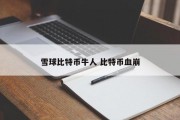 雪球比特币牛人 比特币血崩
