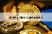 比特币怎样付款 比特币怎样支付