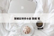 赘婿比特币小说 赘婿 笔