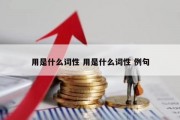 用是什么词性 用是什么词性 例句