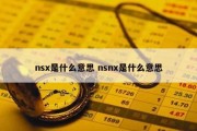nsx是什么意思 nsnx是什么意思