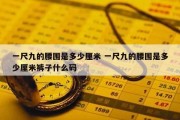 一尺九的腰围是多少厘米 一尺九的腰围是多少厘米裤子什么码
